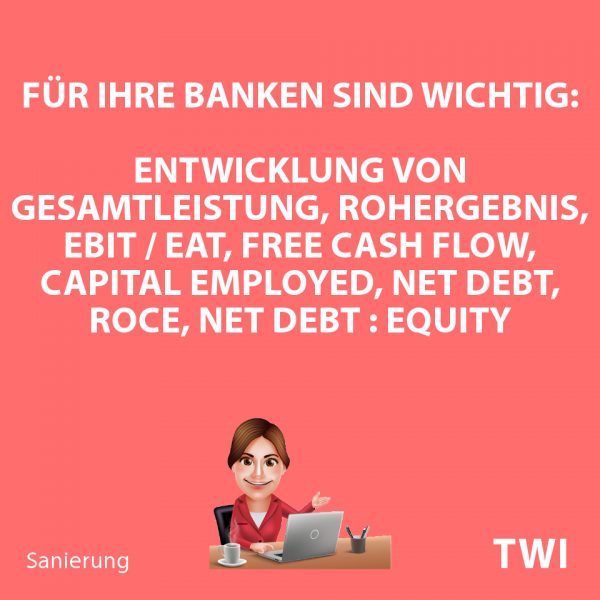 IDW S6 Gutachten Muster 1 von 3 Auftrag, Ausgangslage TWI
